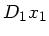 $\displaystyle D_{1} x_{1}$